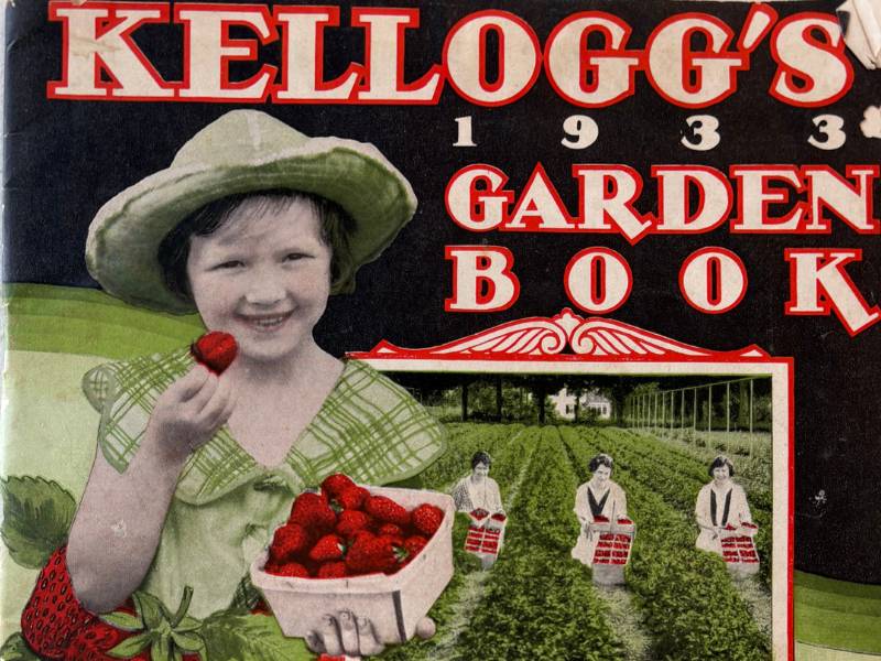 Kellogg's 1933 garden book